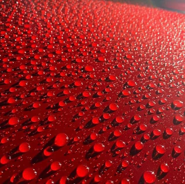 Water beading on ceramic coated paint — hydrophobic protection